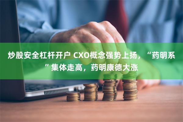 炒股安全杠杆开户 CXO概念强势上扬，“药明系”集体走高，药明康德大涨