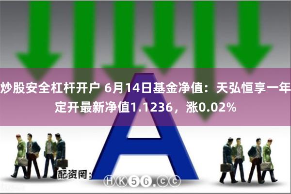 炒股安全杠杆开户 6月14日基金净值：天弘恒享一年定开最新净值1.1236，涨0.02%