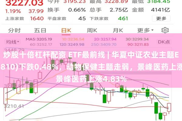 炒股十倍杠杆配资 ETF最前线 | 华夏中证农业主题ETF(516810)下跌0.48%，动物保健主题走弱，景峰医药上涨4.83%